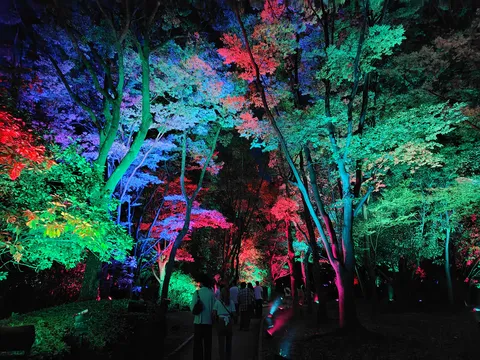 夢幻の色彩に包まれて