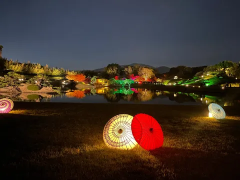 傘まで映えちゃう夜の庭園