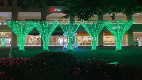 緑の光に包まれる夜のファンタジー