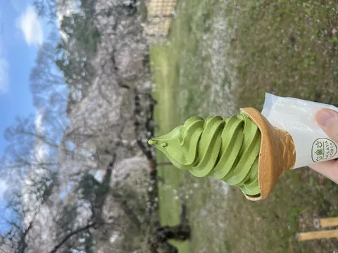 鮮やかな緑、春の喜び