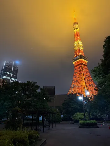 夜空を独占するオレンジ塔