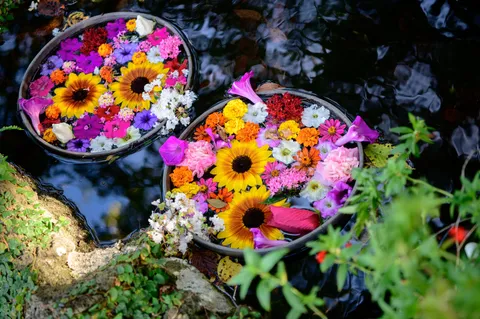 水面に咲く花の舟