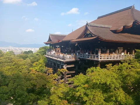 古都の木造建築と緑のコントラスト