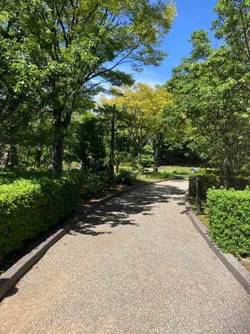 緑陰の小道、光と影のシンフォニー