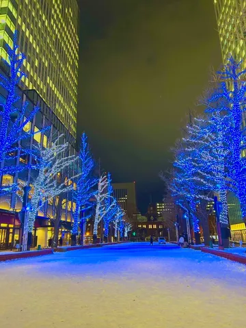 光のトンネル、冬の夜