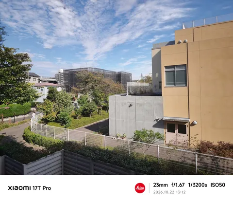 青空と建物の間の静かな庭