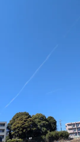 飛行機雲が描く、青いキャンバス