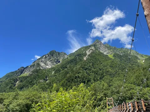 天空への架け橋、新緑の絶景