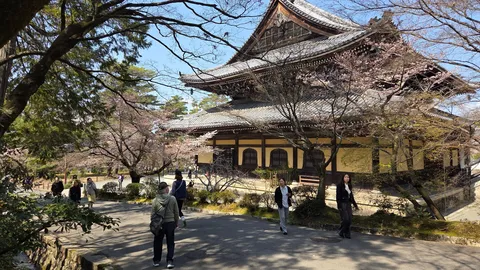 新緑と古刹のコントラスト
