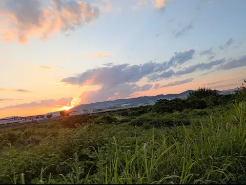 野原から見る夕焼け空