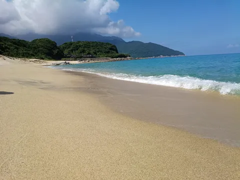 潮風と光の浜辺
