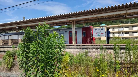 夏草に埋もれる無人駅
