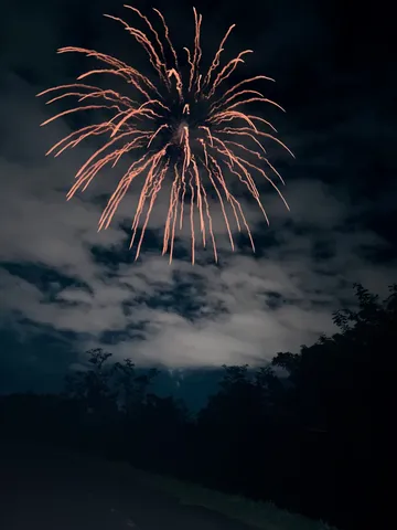夜空に咲く火の花