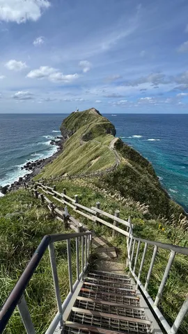 潮風の先へ続く道