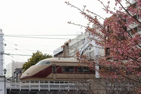 桜と都市を駆ける列車