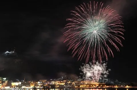 夜空に咲き誇る鮮やかな花火