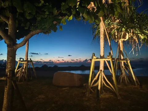 煌めく木立と静かな夕暮れ