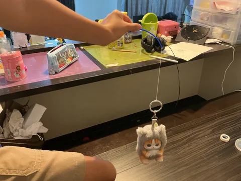 ぶら下がる猫ちゃん、何かの儀式？