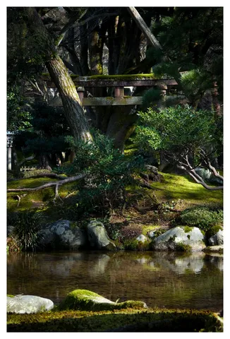 光差す苔の庭園