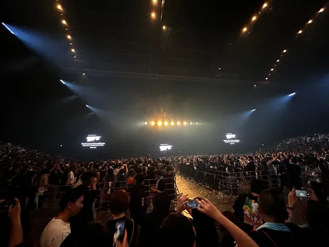 ライブ会場を包む光と感動