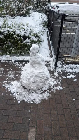 冬の訪れ、雪だるま