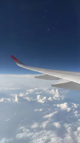 大空を飛ぶ翼と雲海