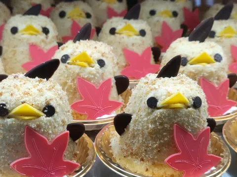 ひよこ隊、出撃準備完了！