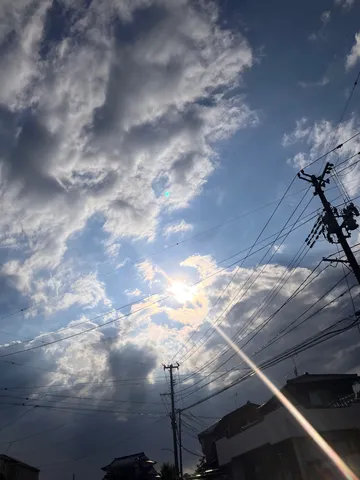 光と影の素朴な瞬間
