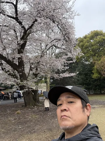 満開の桜と自撮り