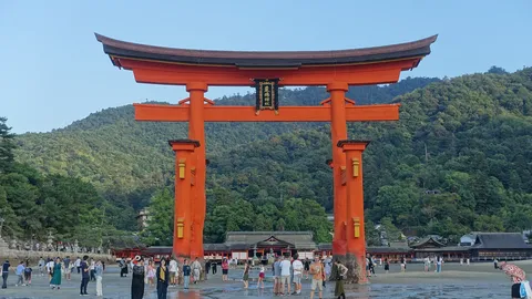 情景を結ぶ赤い鳥居