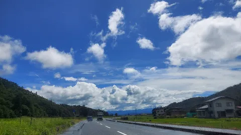 雨上がりの青空と緑のコントラスト