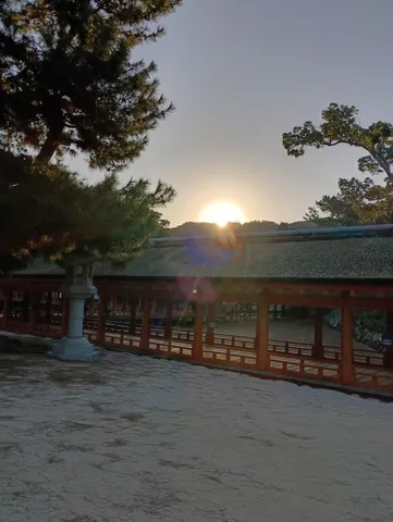 夕陽と鳥居の温度感