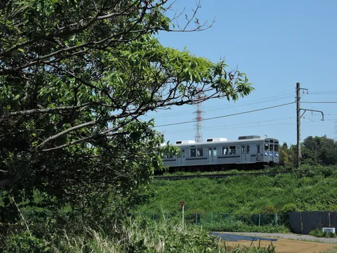 緑豊かな線路沿いの電車