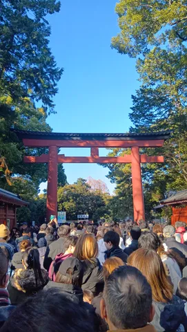 新年の賑わい