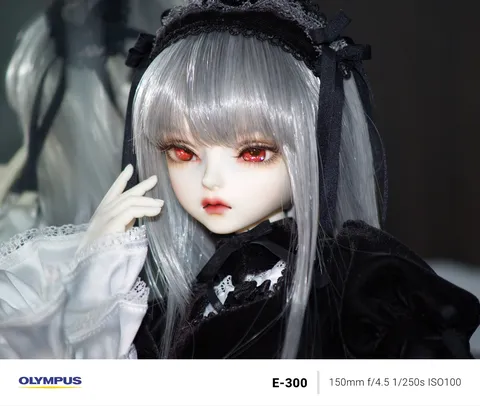 黒と白の静謐な眼差し