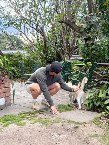 庭で猫と触れ合うひととき