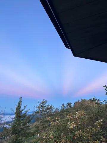 朝の風が運ぶ淡い光