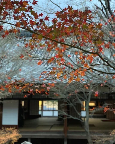 紅葉と古民家の静かな午後