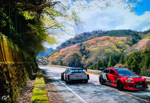 新緑と紅葉の峠道、激走する2台