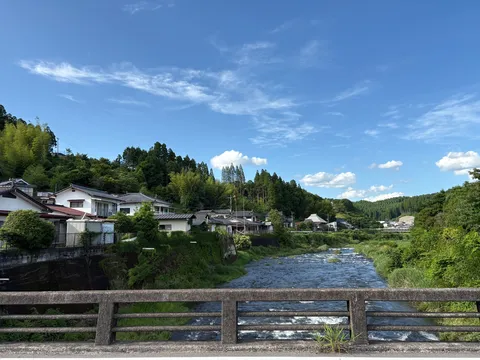 緑と水辺の静かな日常