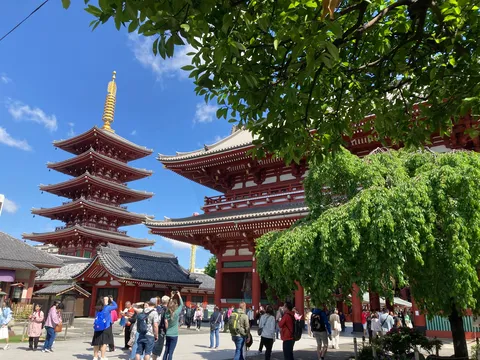 五重塔と新緑のコントラスト