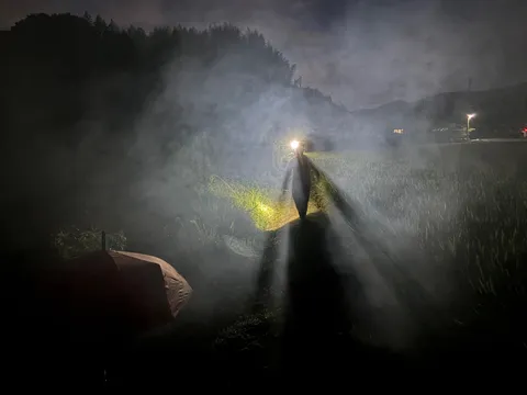 霧夜の灯りと影の道