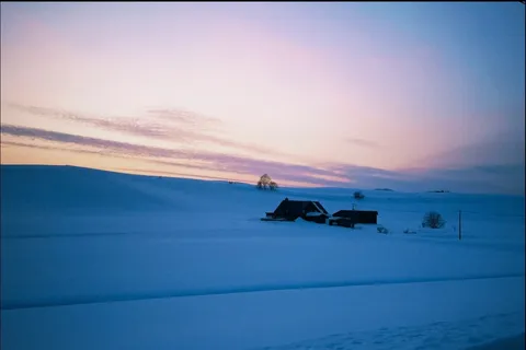 雪原に佇む冬の夕暮れ