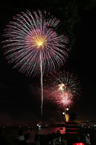 夜の水辺に咲く花火