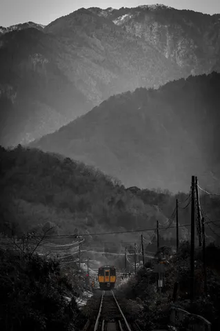 山路を染める朝の列車風景
