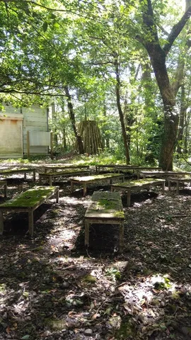 苔むす静寂の屋外席