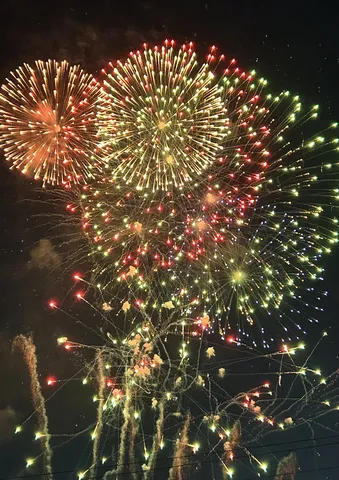 夜空を彩る花火の饗宴
