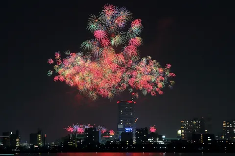 夜空を舞台に花火が大乱舞！
