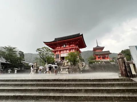 雨音と鮮やかな赤のコントラスト