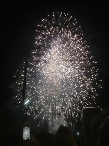 夜空に咲く光の花束